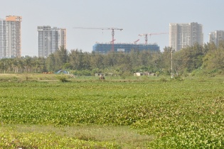 Quảng Nam giao hơn 80.000 m2 đất thực hiện dự án Khu đô thị QNK I