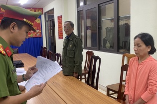 Đà Nẵng: Khởi tố vợ chồng chủ doanh nghiệp chuyển nhượng trái phép đất Nhà nước cho thuê