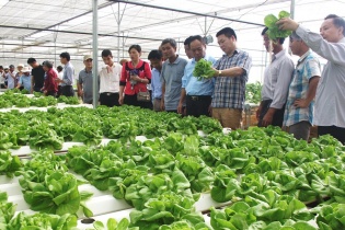 Đà Nẵng đã quy hoạch ba vùng nông nghiệp ứng dụng công nghệ cao