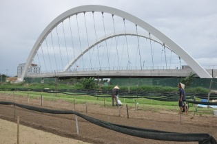 Quảng Nam: Phân bổ vốn đầu tư công từ rất sớm nhưng nhiều dự án vẫn giải ngân thấp 