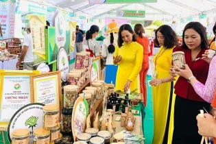 Quảng Nam tổ chức Tuần lễ Khởi nghiệp sáng tạo 