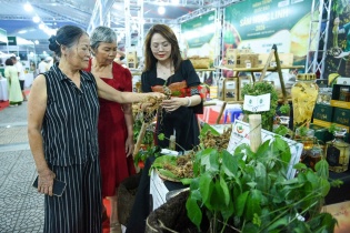 Đà Nẵng tăng tốc thu hút đầu tư vào sâm Ngọc Linh và dược liệu