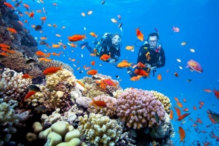 Newstar Group tung chùm tour Phú Quốc chỉ từ 4,4 triệu đồng