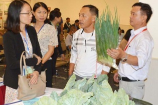 Kết nối, xúc tiến thương mại tiêu thụ nông sản an toàn thành phố Hà Nội năm 2020