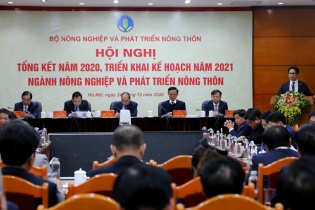 Bất chấp Covid-19, kim ngạch xuất khẩu ngành nông nghiệp đạt trên 41,2 tỷ USD