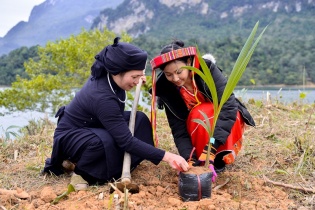 Hoa khôi Du lịch Việt Nam góp sức phủ xanh đất trống tại Tuyên Quang