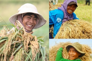 Kỳ tích “hạt vàng” Việt Nam