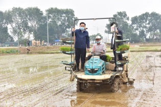 Bí thư, Chủ tịch Hà Nội xuống đồng động viên nông dân