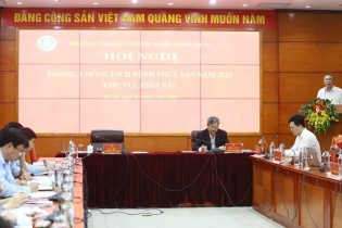 Quy định liên tục thay đổi, xuất khẩu thủy sản gặp khó