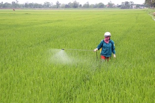 Ngành nông nghiệp quyết tâm không để xảy ra “dịch chồng dịch”