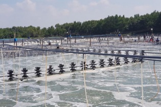 Dự báo những tháng cuối năm, thiếu 20 - 30% nguyên liệu phục vụ sản xuất nông nghiệp