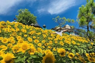 [Ảnh] Những điểm du lịch nổi tiếng âm thầm “khoác áo mới” chờ tái xuất