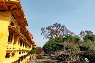 Độc đáo tour “Bác Cổ - Mùa hoa gạo” với không gian “Làng trong phố”