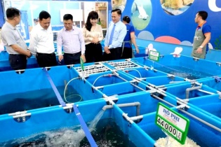 Khai trương chuỗi thủy sản an toàn Chợ Cá Việt