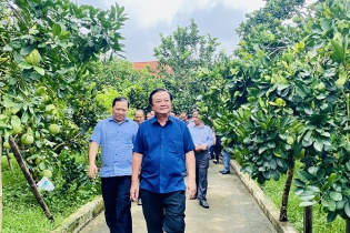 Bộ trưởng Lê Minh Hoan: Hòa Bình cần chăm chút cho những sản phẩm nông sản khác biệt