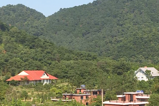 Hà Nội: Thanh tra, kiểm tra toàn diện đất có nguồn gốc từ nông, lâm trường