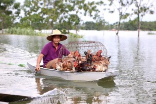 Hà Nội tăng cường phòng, chống dịch bệnh mùa bão lũ