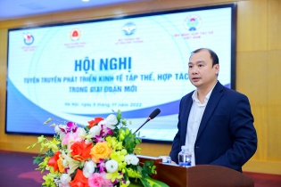 Phát triển kinh tế tập thể, hợp tác xã đạt nhiều thành tựu