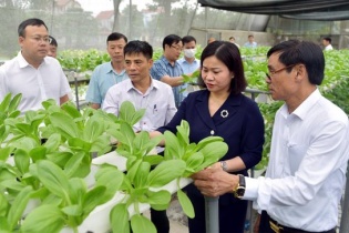 Tín dụng chính sách xã hội giúp hàng trăm ngàn hộ dân Thủ đô thoát nghèo