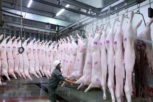 8/730 cơ sở giết mổ gia súc, gia cầm có quy mô công nghiệp