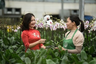 Năm 2023, Hà Nội dự kiến xây dựng 21 mô hình sản xuất nông nghiệp