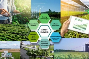 Sẽ thí điểm xây dựng bản đồ kết nối du lịch nông nghiệp, nông thôn Việt Nam