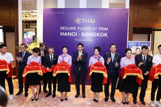 Thai Airways khai trương 2 đường bay khứ hồi trở lại thị trường Việt Nam