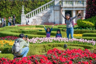 “Hội ngộ muôn sắc hoa” tại Sun World Ba Na Hills