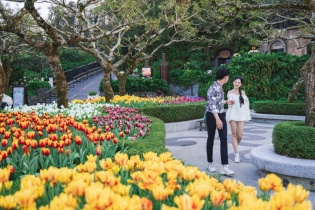 Top địa điểm hút phái đẹp ngày 8/3 