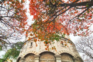 [Ảnh] Hà Nội quyến rũ mùa cây thay lá 