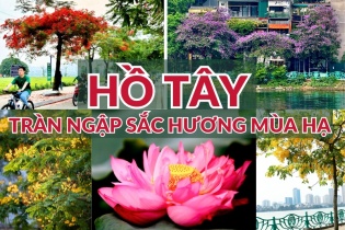 [Ảnh] Hồ Tây tràn ngập sắc hương mùa hạ    
