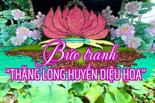 [Ảnh] Chiêm ngưỡng bông sen khổng lồ "Thăng Long Huyền Diệu Hoa" 