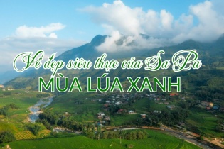 [Ảnh] Vẻ đẹp siêu thực của Sa Pa mùa lúa xanh