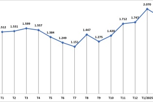 Du khách Trung Quốc đến Việt Nam tăng 77,8%
