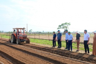 Ban hành Chương trình Khuyến nông thành phố Hà Nội giai đoạn 2026-2030