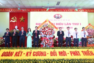 Hà Nội: Xã Vật Lại hướng tới trở thành vùng đất đáng sống, năng động và sáng tạo