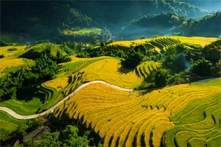 [Ảnh] Sa Pa mùa lúa chín rực rỡ tựa bức họa cổ tích ngay trước Lễ 2/9