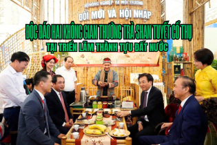 [Ảnh] Độc đáo hai không gian thưởng trà Shan tuyết cổ thụ tại Triển lãm thành tựu đất nước