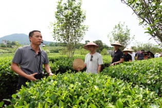 Giám đốc HTX Trà và Du lịch cộng đồng Tiến Yên: “Tôi làm du lịch cộng đồng để quảng bá quê hương”