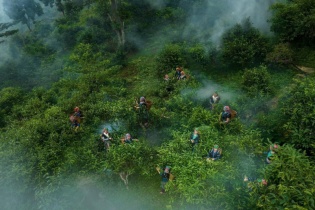 Từ “làm nông” sang “làm du lịch”: Bước ngoặt trong tư duy phát triển nông thôn mới