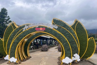 Chiêm ngưỡng thế giới Sen đá độc đáo tại Lễ hội Hoa Sen đá 2025