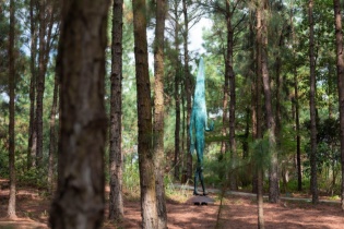 Một thập kỷ Flamingo Holdings kiến tạo bản giao hưởng nghệ thuật trong rừng