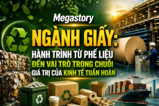 [Megastory] Ngành giấy: Hành trình từ phế liệu đến vai trò trong chuỗi giá trị của kinh tế tuần hoàn