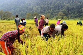 Việt Nam khởi động xây dựng báo cáo rà soát các mục tiêu phát triển bền vững 2023