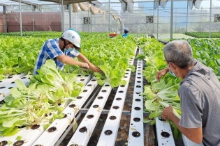 Kinh tế tập thể, hợp tác xã chưa phát triển được như mục tiêu, yêu cầu đặt ra