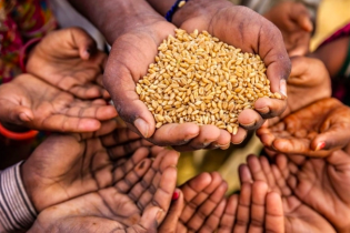 Thông điệp chính tại Hội nghị toàn cầu về hệ thống lương thực, thực phẩm bền vững