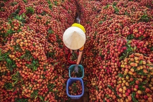 Đẩy mạnh xuất nhập khẩu nông sản Việt Nam - Quảng Tây (Trung Quốc)