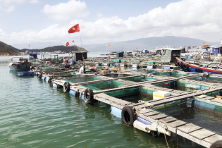 Đẩy mạnh nuôi trồng thủy sản đáp ứng kế hoạch tăng trưởng năm 2023