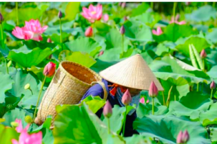 Canh tác nông nghiệp bền vững để “cứu” dòng sông Mekong