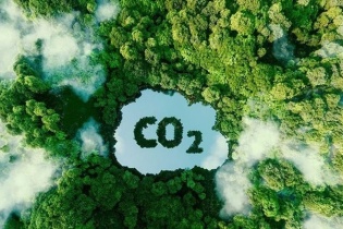 Chuyên gia: Khoản thu 1.200 tỷ đồng giữa Việt Nam và WB không phải là mua bán tín chỉ carbon rừng